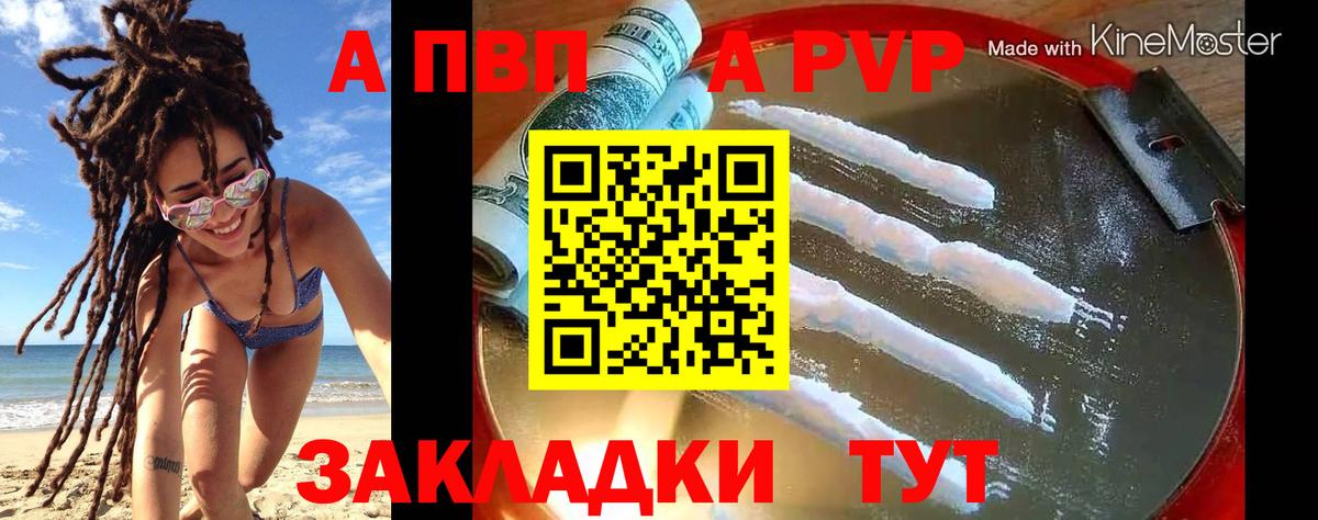 Ржев  Альфа ПВП крисы CK  Вход с VPN 