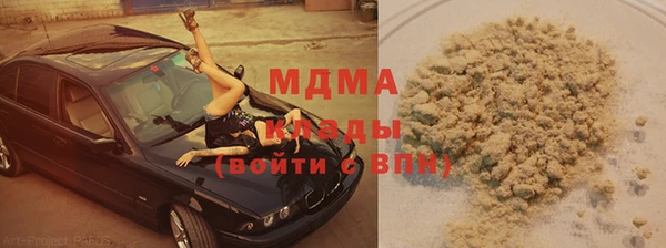 сатива Новодвинск