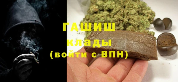 сатива Новодвинск