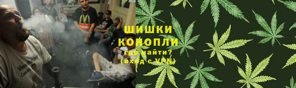 сатива Новодвинск