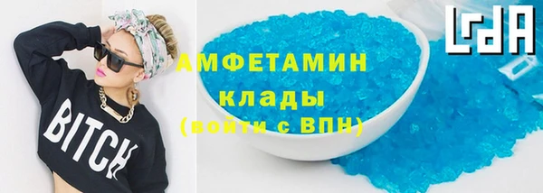 сатива Новодвинск