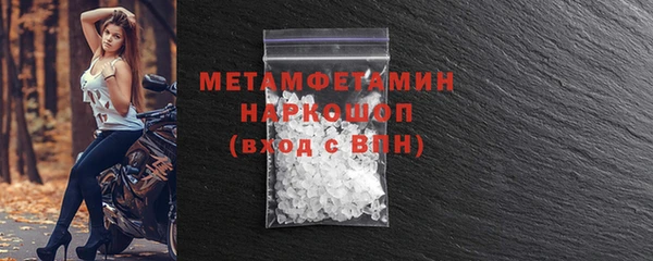 сатива Новодвинск