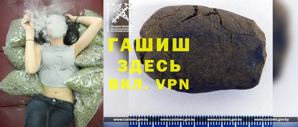 сатива Новодвинск