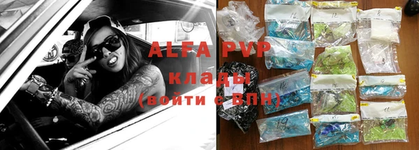 ГАЛЛЮЦИНОГЕННЫЕ ГРИБЫ Новозыбков