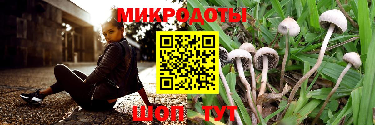 наркошоп  Псилоцибиновые грибы прущие грибы  Вход с VPN  Ржев 
